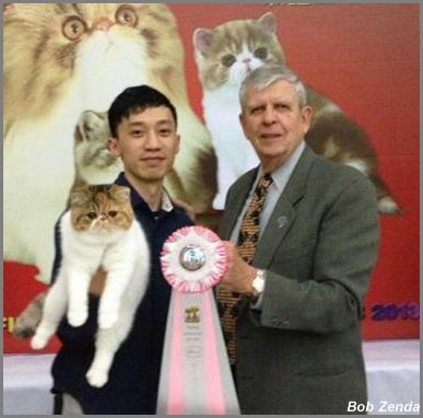 Cat Need Jessica